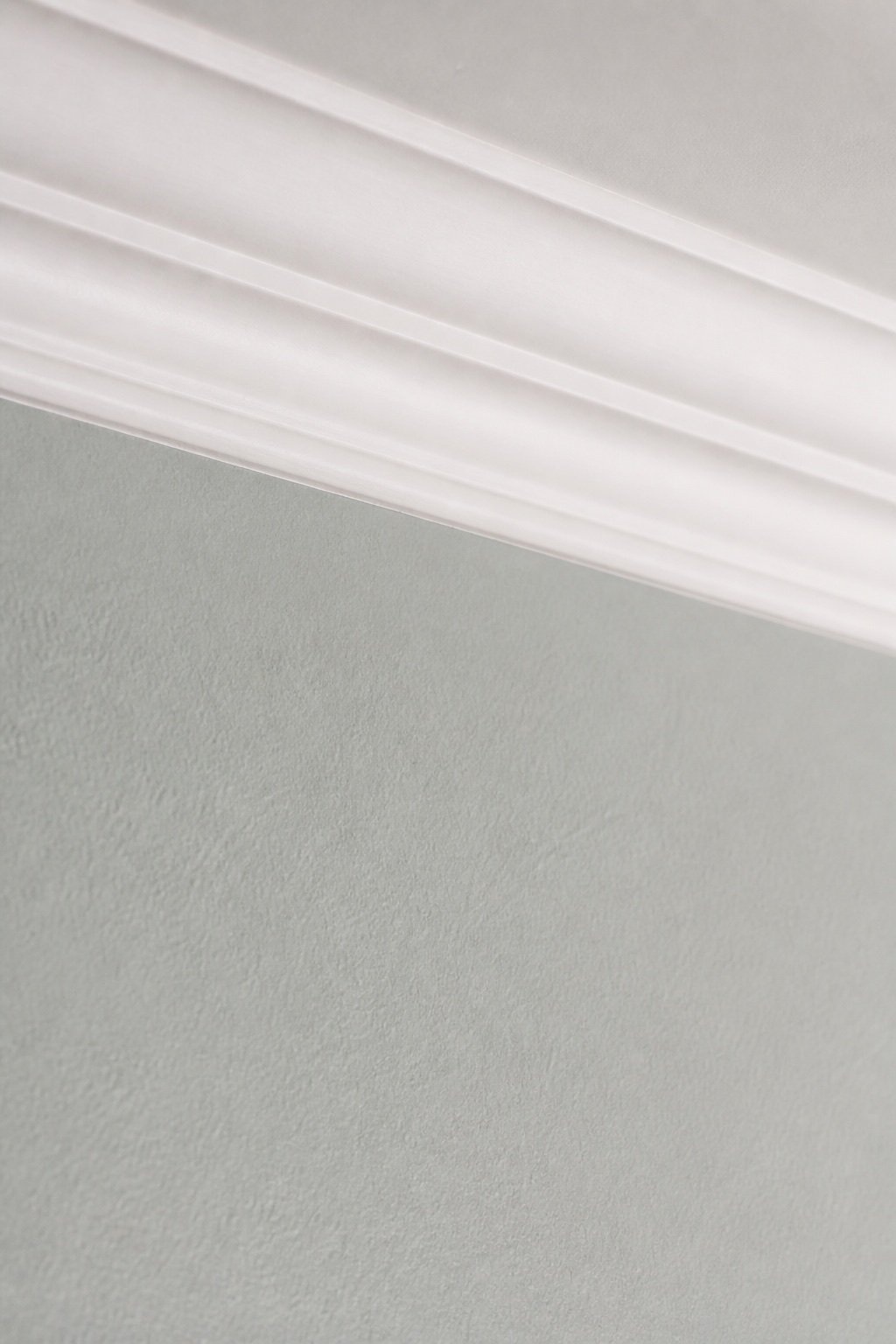 Decoration and wall finishing — detail